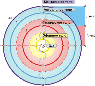Эзотерика и ритмы